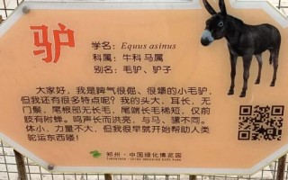 驴鸣是什么生肖？驴打一个生肖