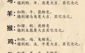 久死一生是什么生肖？九死一生代表几个动物
