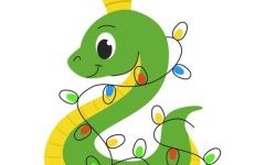 13年是什么生肖？1953年是龙年还是蛇年