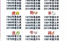 土字生肖是什么？土字生肖最精准一肖