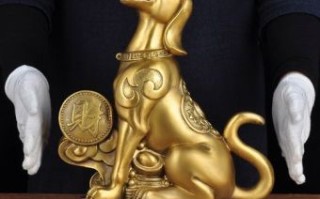 千晨之行是什么生肖？千晨之行的正确生肖