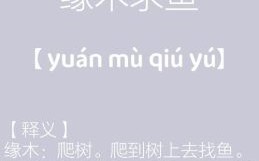 缘木求鱼是什么生肖？缘木求鱼最正确生肖