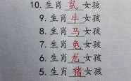 十二生肖夫人是什么？夫人打一准确生肖