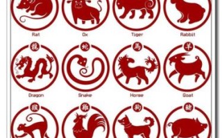 独 是什么生肖？独肖是哪几个生肖2019