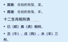 龙的对冲生肖是什么？龙和什么生肖相克