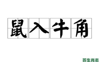 鼠入牛角是什么生肖？鼠入牛角最正确的生肖