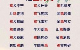 话多的生肖是什么？二话不说是什么生肖