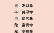 养命之源是什么生肖？养命之源正确答案一肖