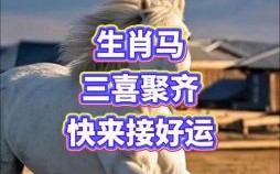 马上马下是什么生肖？马上就来打一生肖