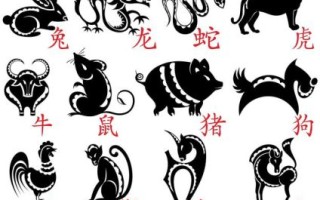 抱是什么生肖？抱代表哪个生肖