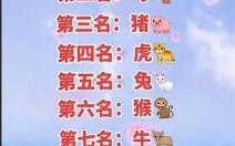 三七二一是什么生肖？三七二一打一最佳动物