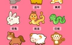 选用二五做前排是什么生肖？闲代表什么生肖最佳答案