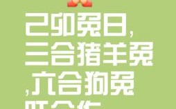 不是是什么生肖？事字是什么生肖