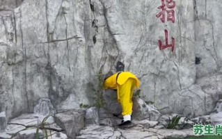 五指山是什么生肖？五指山下打一最佳生肖