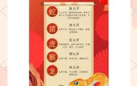 2025年是什么生肖？2025年属啥的