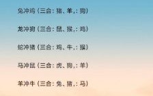 今天对冲生肖是什么？2025年今日相冲生肖查询