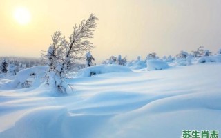 大雪慢飞身上肿是什么生肖？大雪漫飞身上肿正确答案