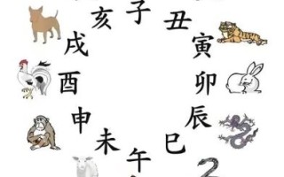 半仙八老是什么生肖？仙人打一最佳生肖