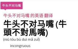 牛头不对马嘴是什么生肖？牛头不对马嘴最佳答案