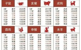 12是什么生肖？今年12岁属啥
