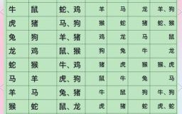 虎的对冲生肖是什么？12生肖相冲相克表