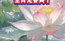 哭肖是什么生肖？哭肖最正确生肖