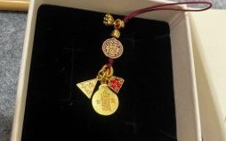 必中林心如是什么生肖？称心如意打一最佳生肖