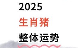 2025年属相是什么生肖？2025年是属猪吗