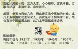 婆婆是什么生肖？十二生肖谁是婆婆