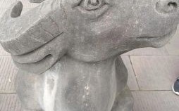 十一根手指是什么生肖？登高手指天指什么生肖