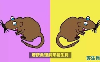 朝纲有主见是什么生肖？朝纲最正确一肖