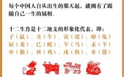 十一是什么生肖？十一代表的正确生肖