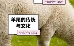 羊头马尾是什么生肖？羊头代表的寓意