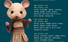 十二生肖军师是什么？军师指的是什么生肖