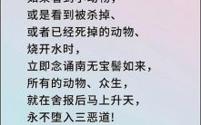 赶尽杀绝是什么生肖？赶尽杀绝打一准确动物