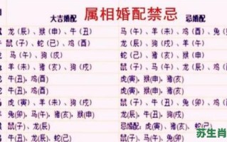 1997生肖是什么？97年和什么属相最配