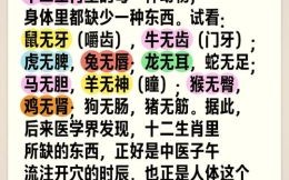 黑牙是什么生肖？牙齿打一生肖