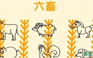 六畜的动物是什么生肖？六畜最正确一肖