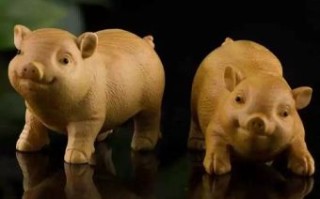 倒立是什么生肖？倒立打一动物