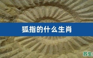 孤狸是什么生肖？狐狸暗示什么生肖