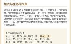 四四复出是什么生肖？四四复出打一动物