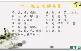 野兽的生肖是什么？野兽有几肖正确答案