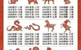 争先恐后是什么生肖？争先恐后最佳生肖答案