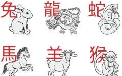 寻觅是什么生肖？大自然代表什么生肖