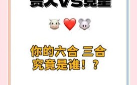 不知死活是什么生肖？不知死活最正确一肖