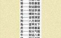 乌烟瘴气是什么生肖？乌烟瘴气最佳一肖是什么