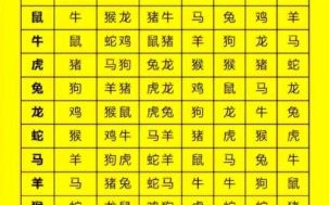猪狗不入是什么生肖？狗猪不如三大生肖