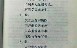 因噎废食是什么生肖？屦字打一准确生肖
