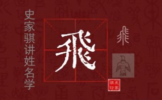 飞字是什么生肖？飞准确打一数字