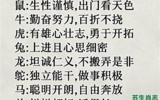 蓝天碧海是什么生肖？蓝天碧海最准确的生肖